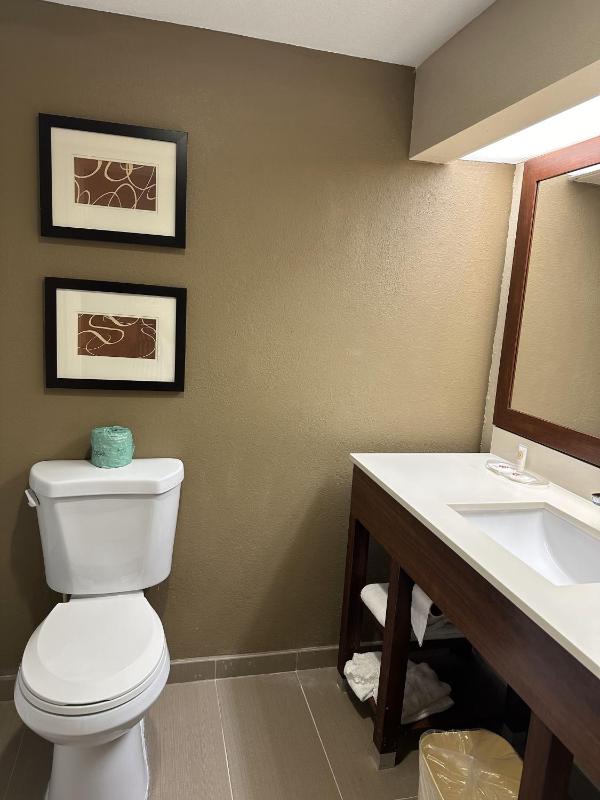 King Suite - Accessible/Non-Smoking image 4