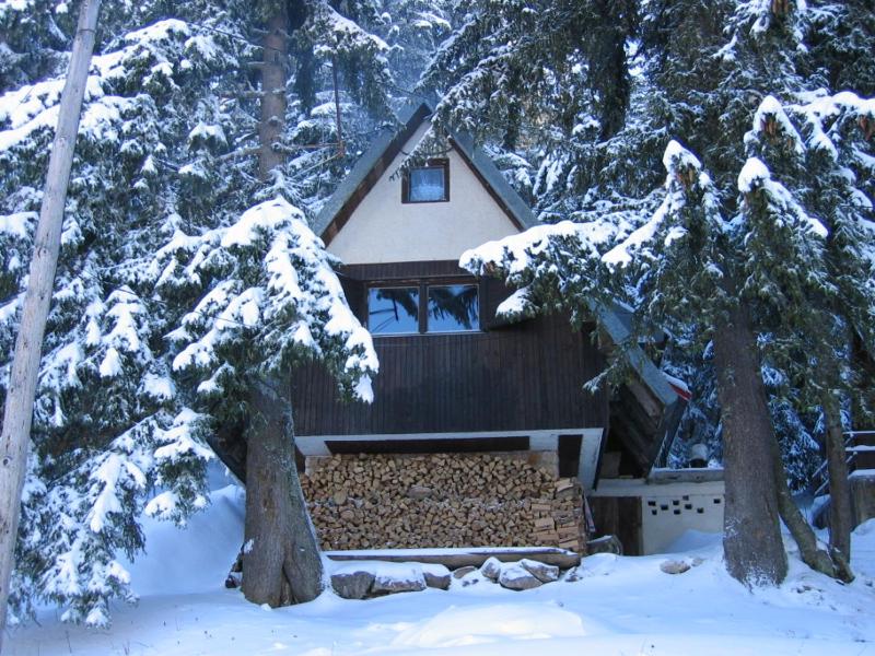 Apartment with Mountain View image 2