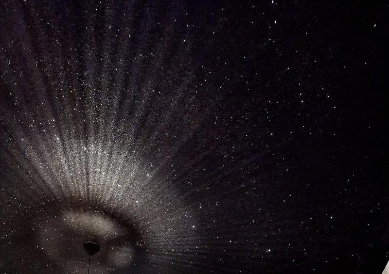 Twin Room with Garden View image 4