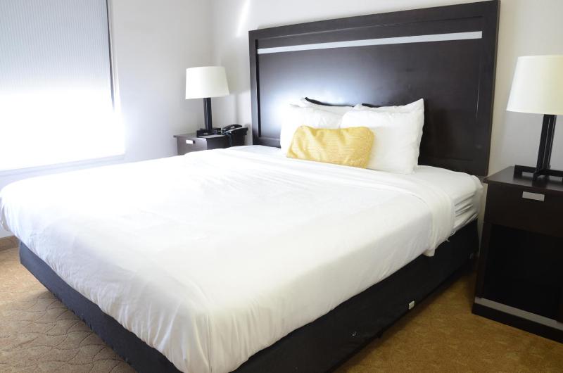 Country Inn & Suites by Radisson Jacksonville - Orange Park - image 6