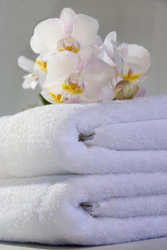 Tides Inn Hotel - image 21