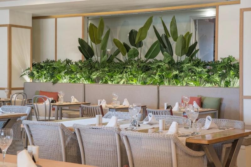 Hotel LIVVO Anamar Suites - image 22