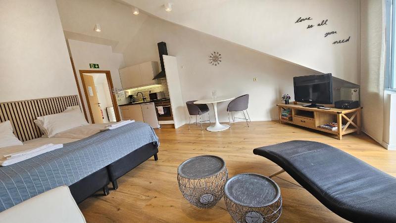 Studio Apartment - Bergstadastræti 12 image 4