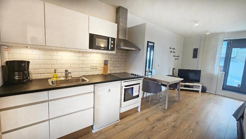 Studio Apartment - Bergstadastræti 12 image 3