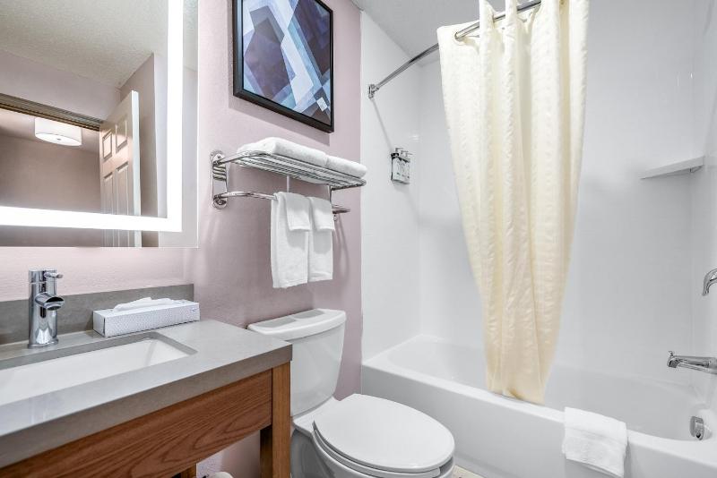 One-Bedroom Suite image 4