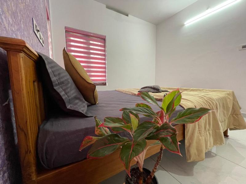 Varkala Life Homestay - image 17