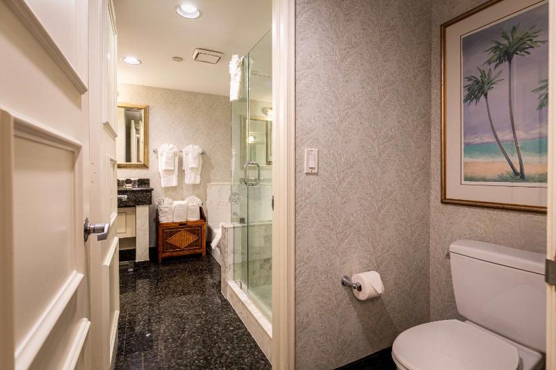 Executive One-Bedroom King Suite image 3