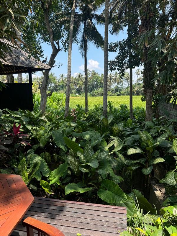 Villa Pantulan Bali - image 7