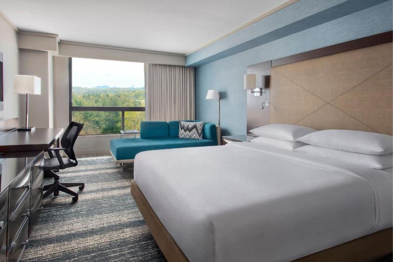 Deluxe King Room image 1