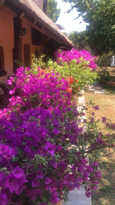 Midrand Wild Goose Guest House B&B - image 7