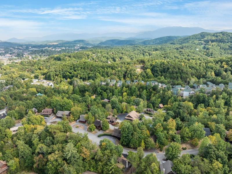 ER101 - Heavenly Hideaway Great location - Close to town! cabin - image 10