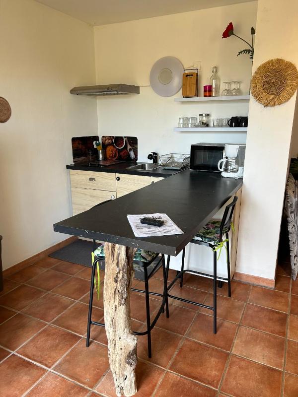One-Bedroom Apartment with Garden View image 2