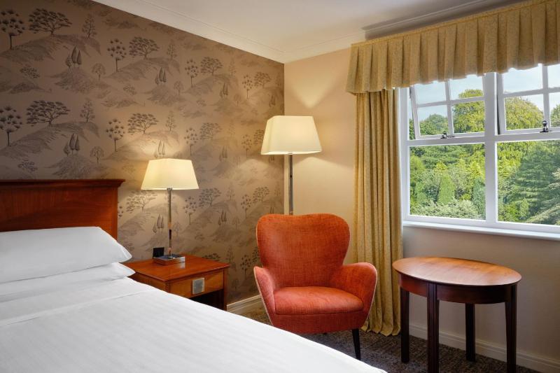 Superior King Room with View image 3