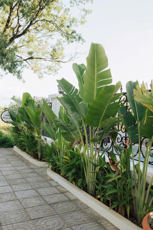 Tam Coc Sana Villa & Homestays - image 31