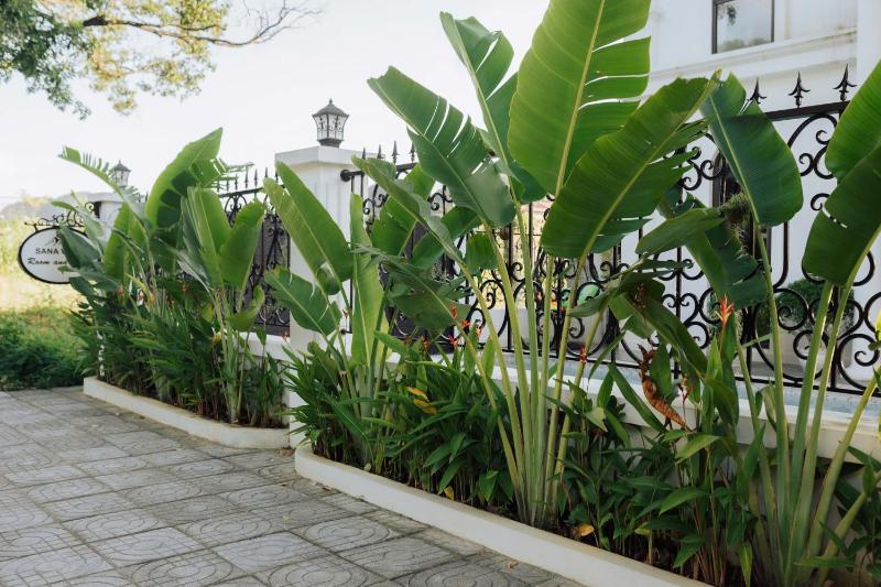 Tam Coc Sana Villa & Homestays - image 33