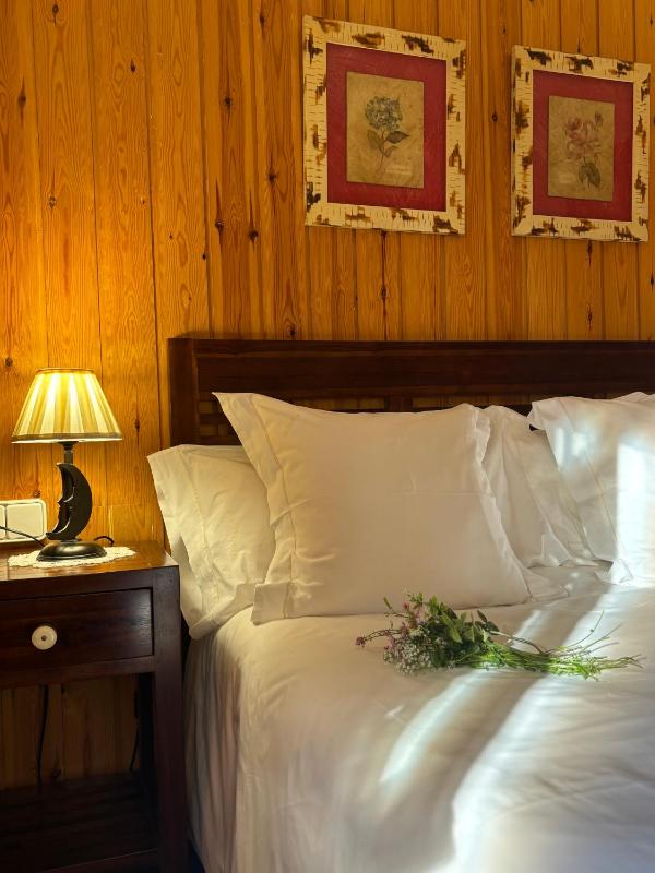 Standard Double Room image 2