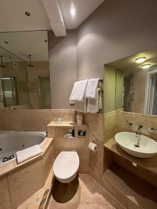 Luxury Suite image 4