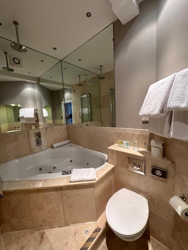 Luxury Suite image 3