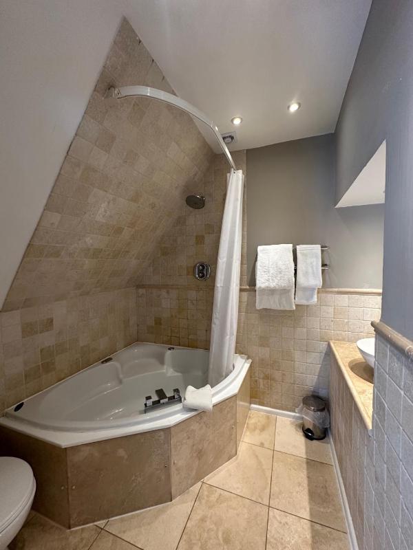 Luxury Suite image 2