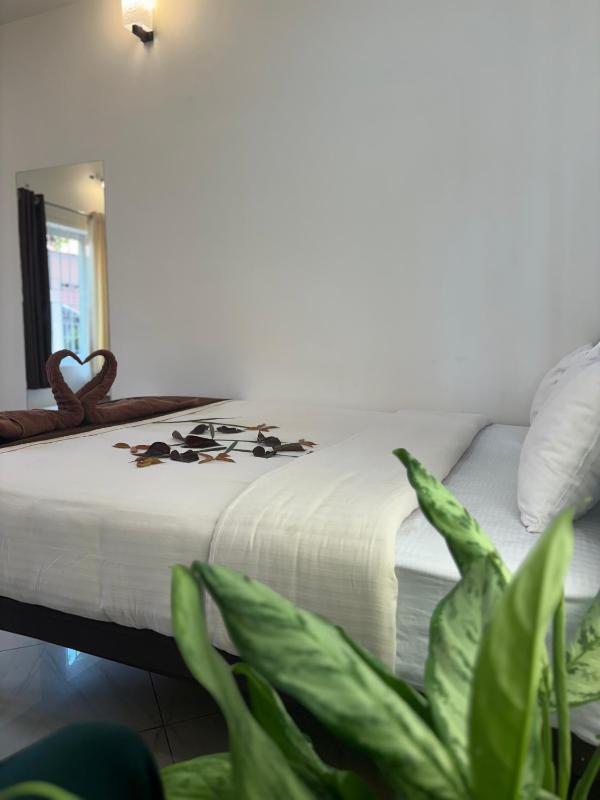 Peakview Homestay - image 7