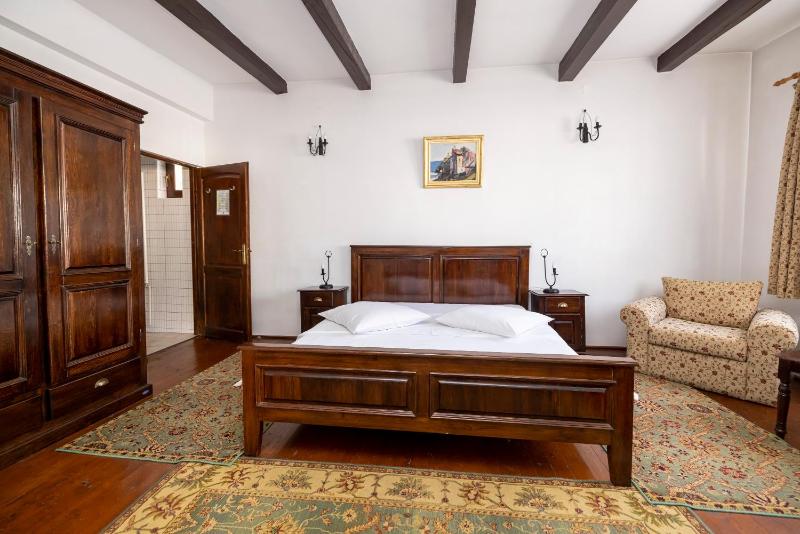 Superior One-Bedroom Suite image 4