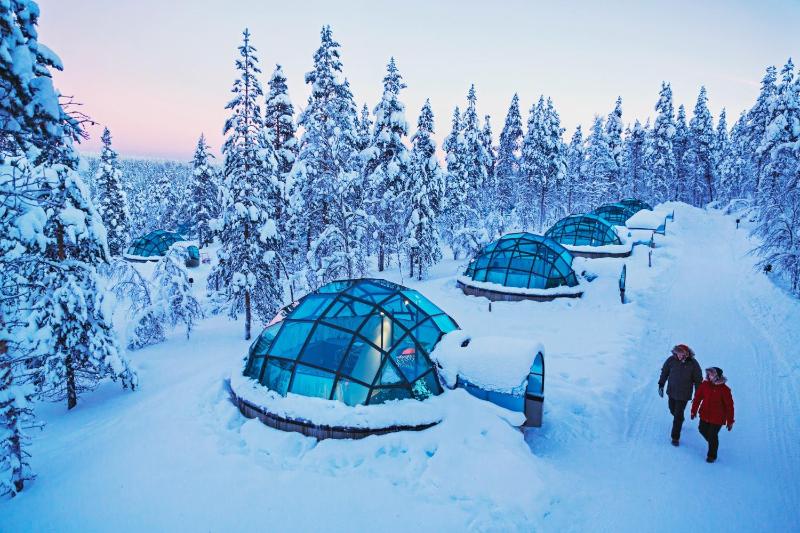 East Glass Igloo (2 Adults) image 1