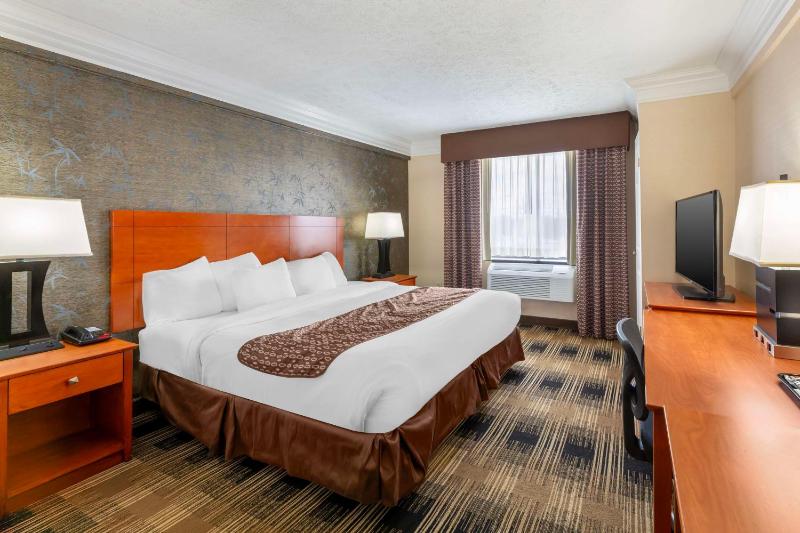 King Room - Non-Smoking image 2