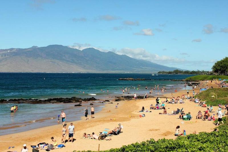 Rear Ocean View 2 Bedroom Single Level Condo at Kamaole Sands 9-305 - image 8