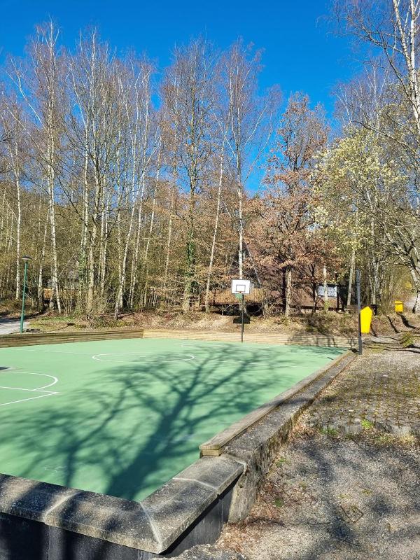 Boszicht Durbuy - image 45