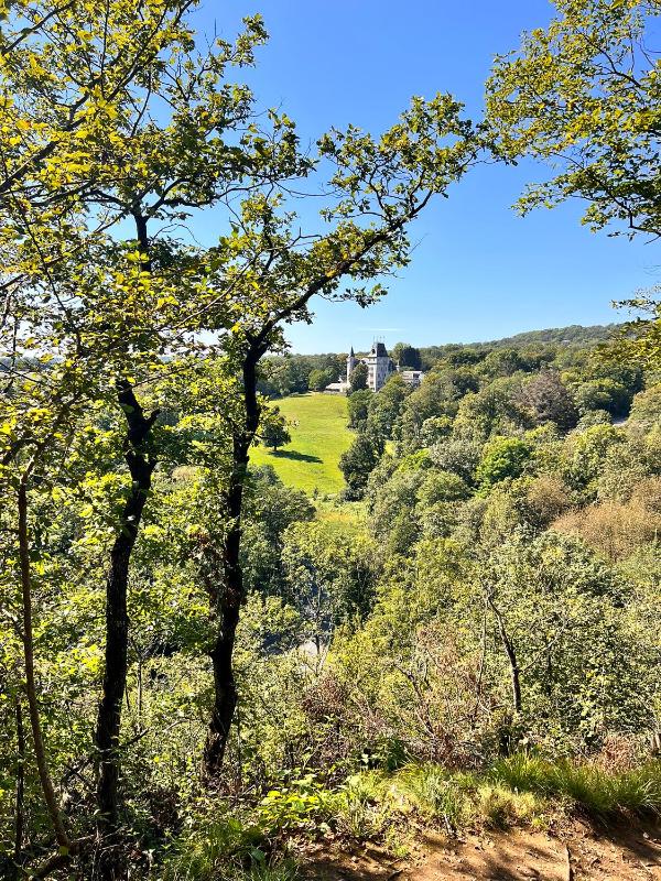 Boszicht Durbuy - image 27