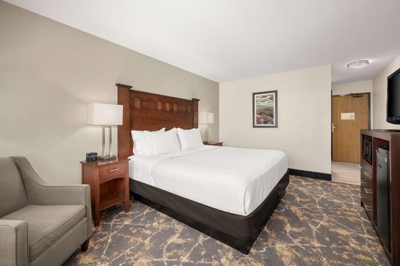 Deluxe King Room image 4