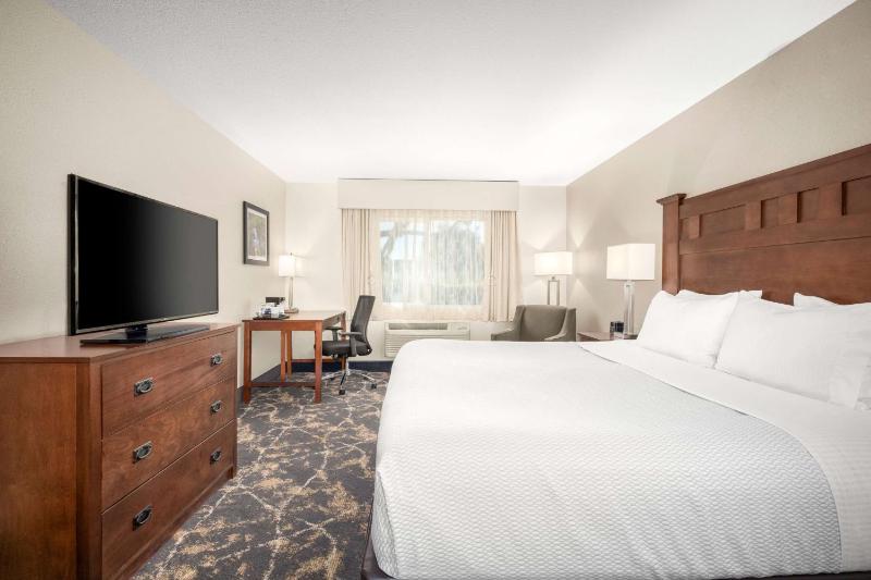 Deluxe King Room image 4