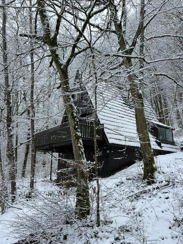 Boszicht Durbuy - image 16