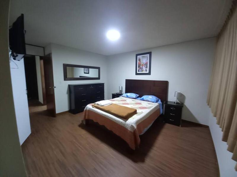 apartment temporal pardo 1 - image 8