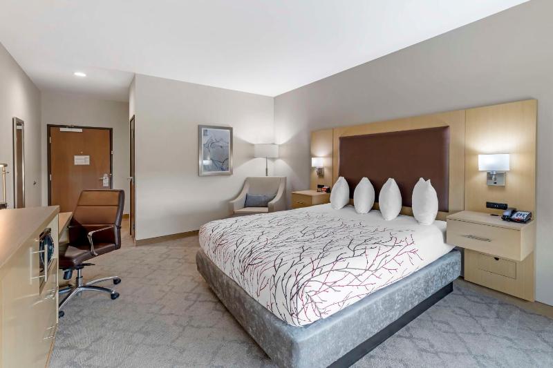 King Room image 4