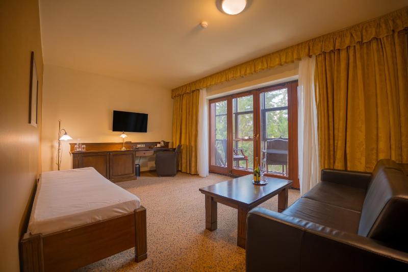 Premium Suite with free Wellness Access image 3