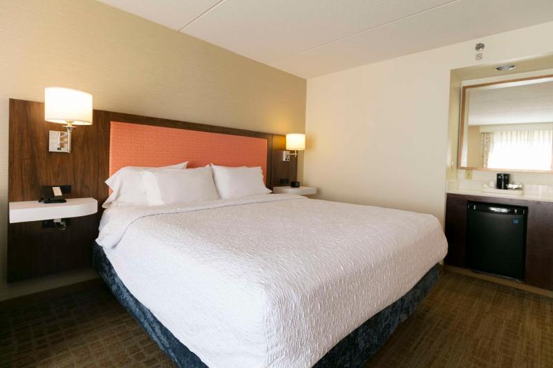 Extended King Room with Sofa Bed image 4