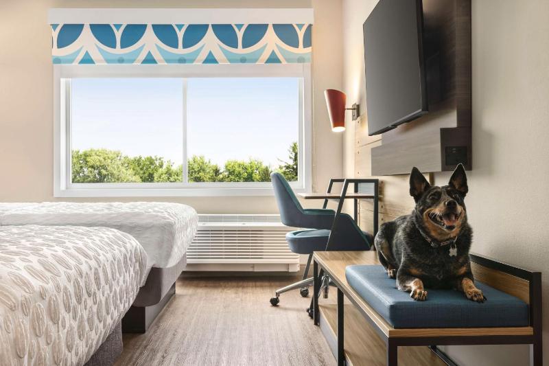Queen Room with Two Queen Beds and Walk-In Shower image 1
