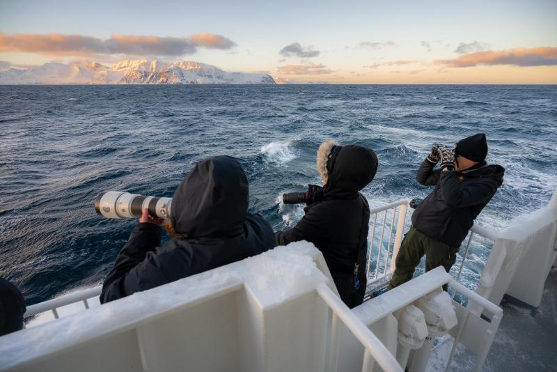 24hrs Northern Lights & Whale Watching Cruise - image 18
