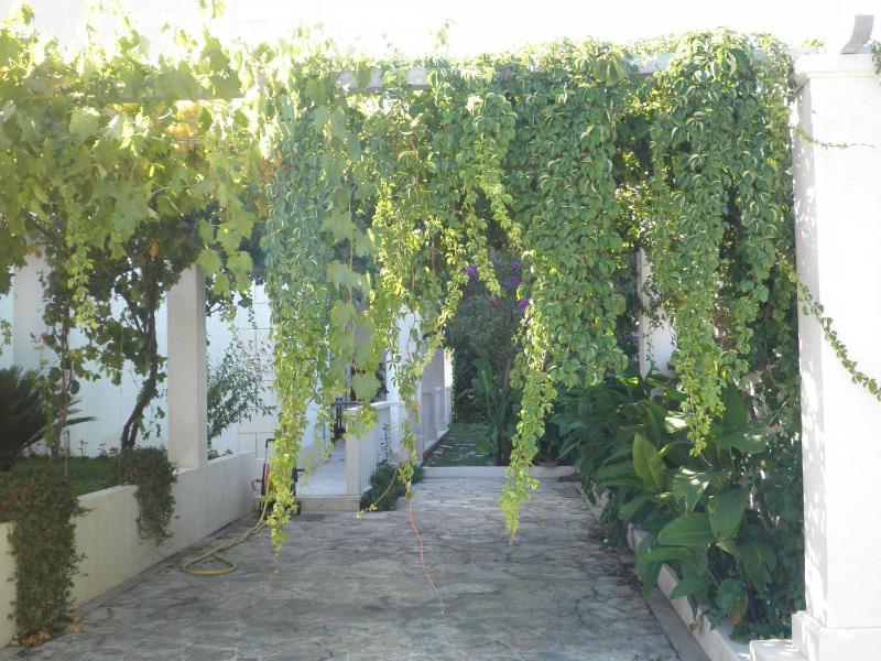Apartment Aldica - image 4