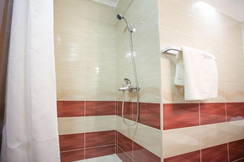 One-Bedroom Apartment image 3