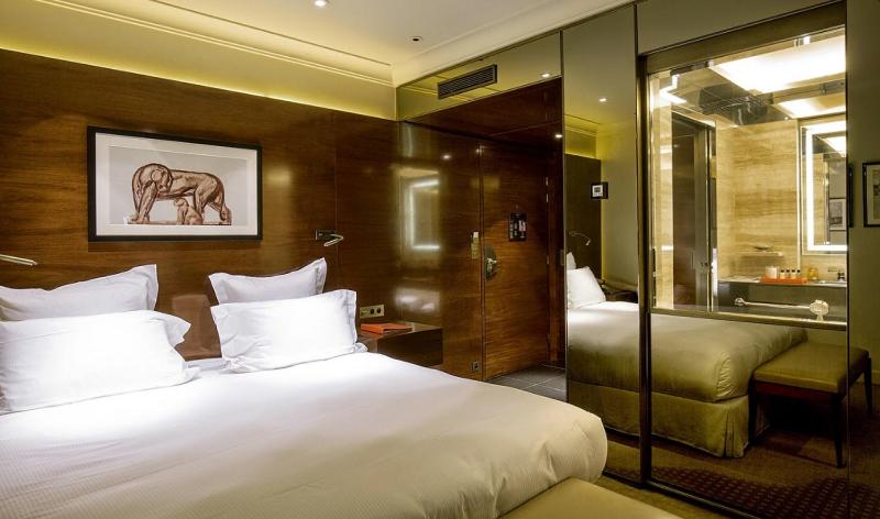 Deluxe Double Room image 3