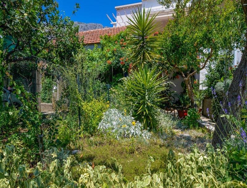 Apartment Rosa - image 9