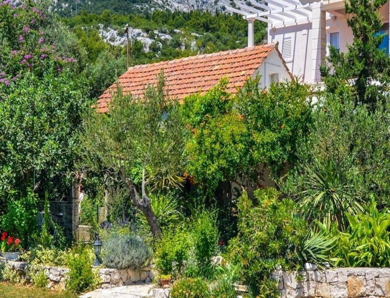 Apartment Rosa - image 21