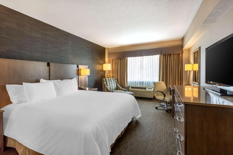 One-Bedroom King Suite with Bath Tub and Wet Bar - Disability Access image 1