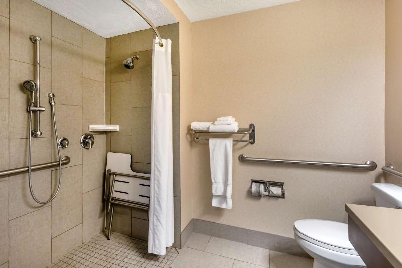 King Room with Sofa Bed and Roll-In Shower - Disability Access image 2