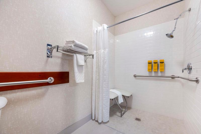 King Room with Roll - In Shower - Disability Access image 4