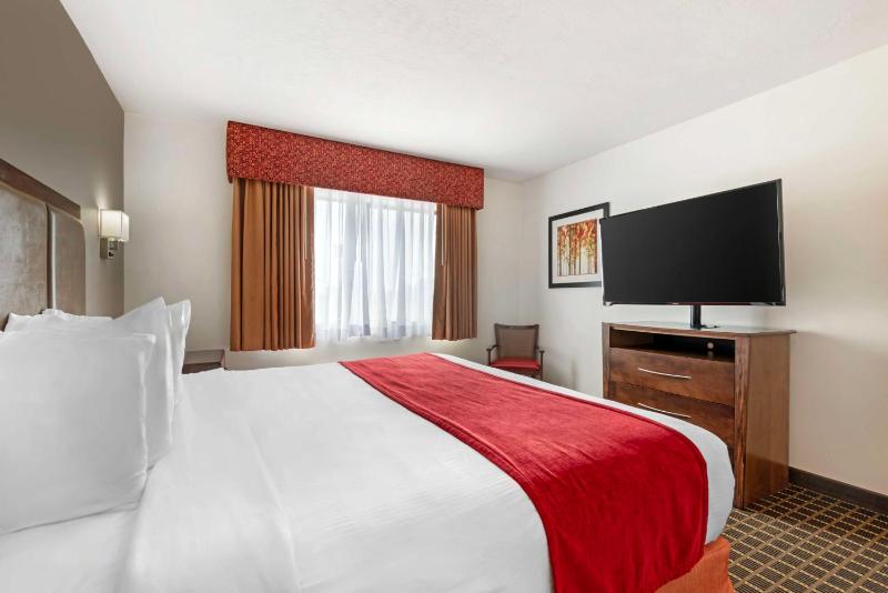 One-Bedroom King Suite with Sofa Bed and Wet Bar - Non-Smoking image 3
