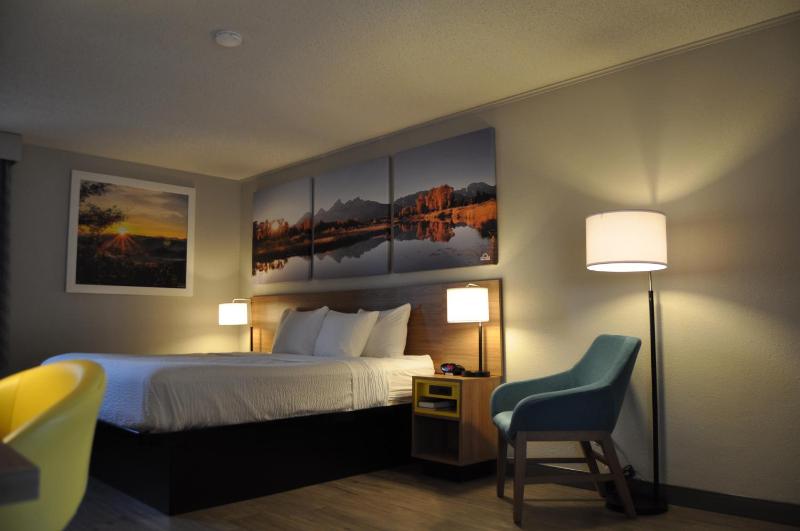 King Room - Non-Smoking image 4