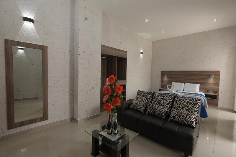 Hoteles Gutiérrez Mansión - image 9